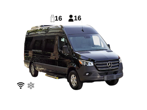 Mercedes Sprinter Large (1-16 Pax)